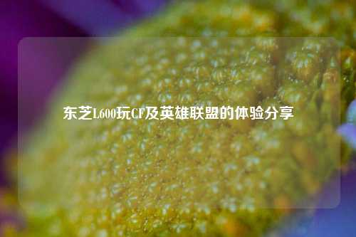 东芝L600玩CF及英雄联盟的体验分享