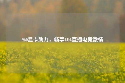 960显卡助力，畅享LOL直播电竞***