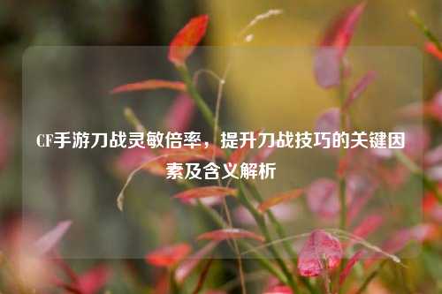 CF手游刀战灵敏倍率，提升刀战技巧的关键因素及含义解析