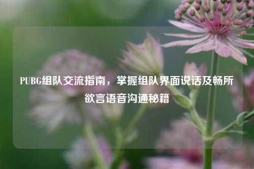 PUBG组队交流指南，掌握组队界面说话及畅所欲言语音沟通秘籍
