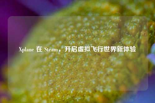 Xplane 在 Steam，开启虚拟飞行世界新体验