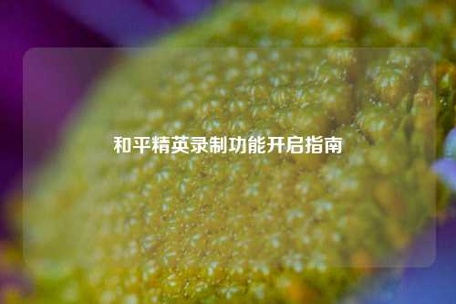 和平精英录制功能开启指南