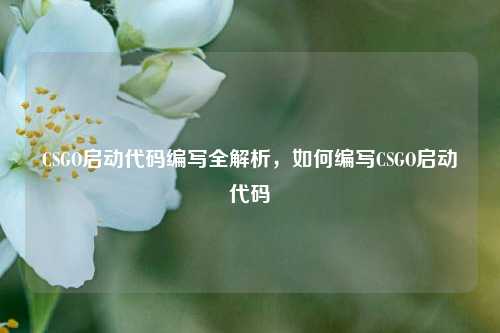 CSGO启动代码编写全解析,如何编写CSGO启动代码
