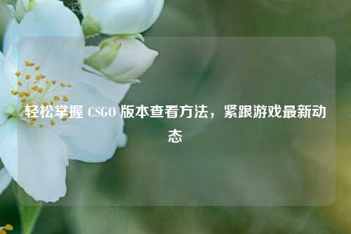 详细阅读:轻松掌握 CSGO 版本查看 *** ,紧跟游戏最新动态 轻松掌握 CSGO 版本查看 *** ,紧跟游戏最新动态