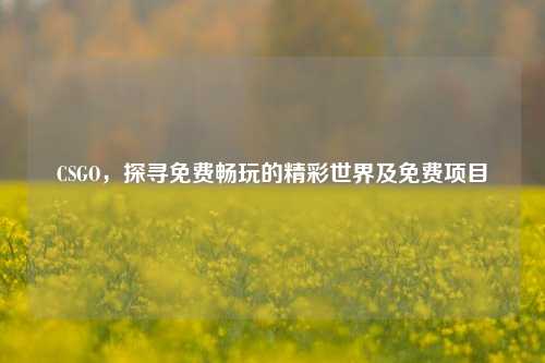 CSGO，探寻免费畅玩的精彩世界及免费项目