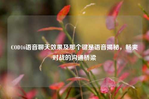 COD16语音聊天效果及那个键是语音揭秘,畅爽对战的沟通桥梁