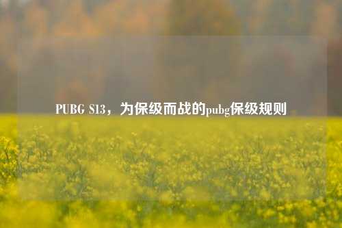 PUBG S13，为保级而战的pubg保级规则
