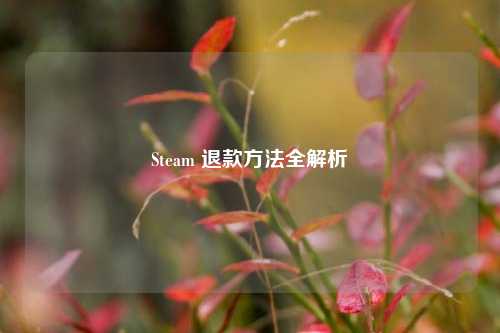 Steam 退款 *** 全解析