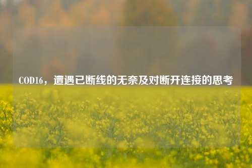 COD16,遭遇已断线的无奈及对断开连接的思考