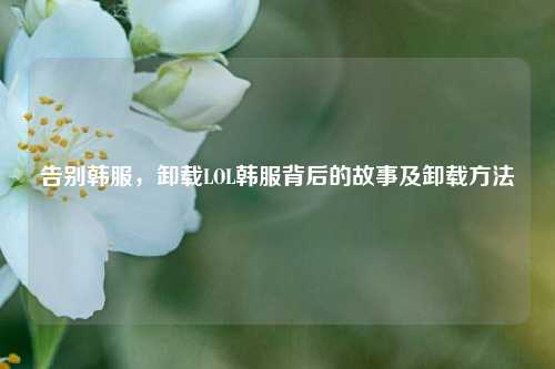 告别韩服,卸载LOL韩服背后的故事及卸载 ***