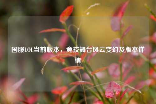 国服LOL当前版本，竞技舞台风云变幻及版本详情