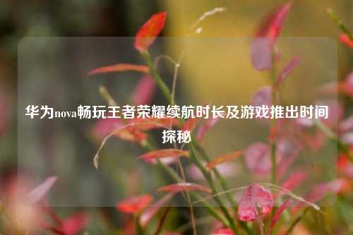 华为nova畅玩王者荣耀续航时长及游戏推出时间探秘
