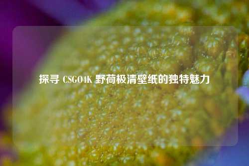探寻 CSGO4K 野荷极清壁纸的独特魅力