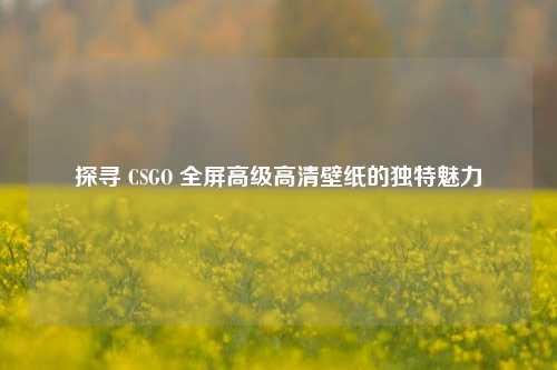 探寻 CSGO 全屏高级高清壁纸的独特魅力