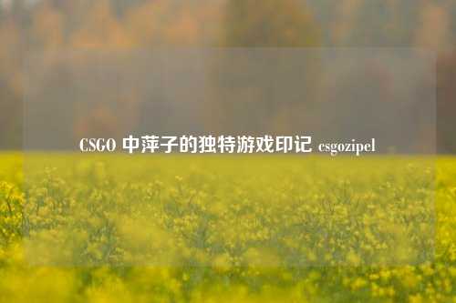 CSGO 中萍子的独特游戏印记 csgozipel