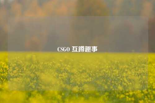 CSGO 互蹲趣事