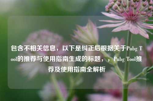 包含不相关信息，以下是纠正后根据关于Pubg Tool的推荐与使用指南生成的标题，，Pubg Tool推荐及使用指南全解析