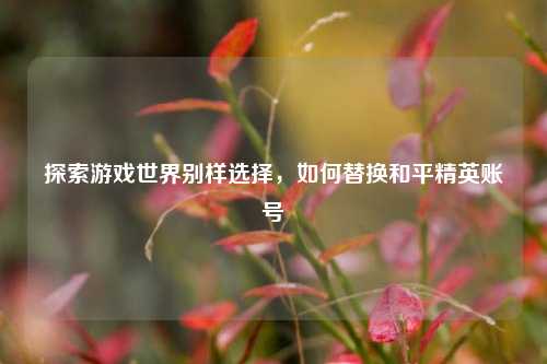 探索游戏世界别样选择,如何替换和平精英账号