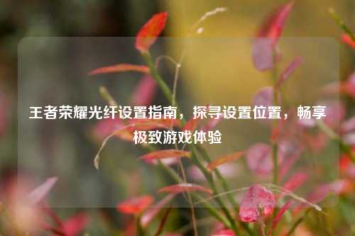 王者荣耀光纤设置指南，探寻设置位置，畅享极致游戏体验