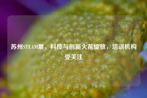 苏州STEAM展,科技与创新火花绽放,培训机构受关注