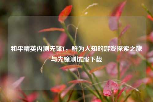 和平精英内测先锋T，鲜为人知的游戏探索之旅与先锋测试服下载