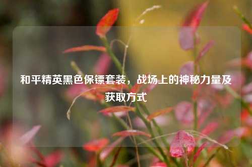 和平精英黑色保镖套装,战场上的神秘力量及获取方式