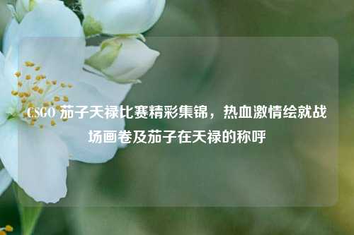 CSGO 茄子天禄比赛精彩集锦,热血 *** 绘就战场画卷及茄子在天禄的称呼