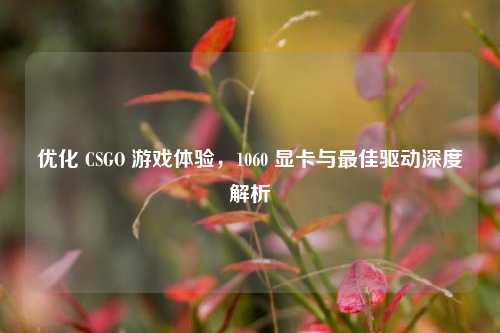 优化 CSGO 游戏体验，1060 显卡与更佳驱动深度解析