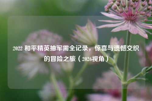 2022 和平精英抽军需全记录,惊喜与遗憾交织的冒险之旅(2026视角)