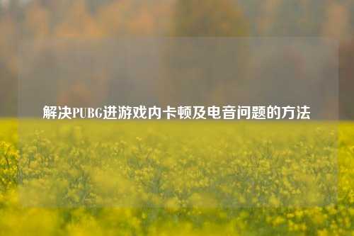 解决PUBG进游戏内卡顿及电音问题的 *** 