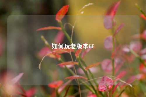 如何玩老版本CF