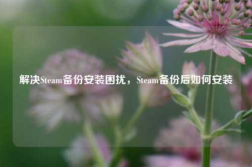 解决Steam备份安装困扰,Steam备份后如何安装
