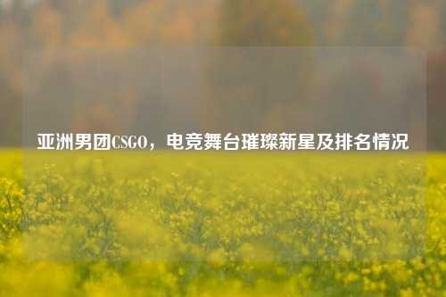亚洲男团CSGO，电竞舞台璀璨新星及排名情况