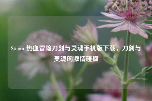Steam 热血冒险刀剑与灵魂手机版下载，刀剑与灵魂的***碰撞