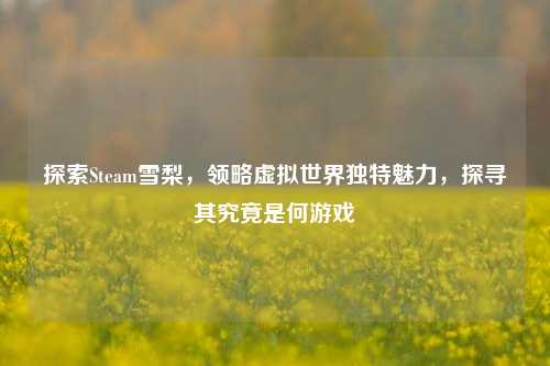探索Steam雪梨,领略虚拟世界独特魅力,探寻其究竟是何游戏