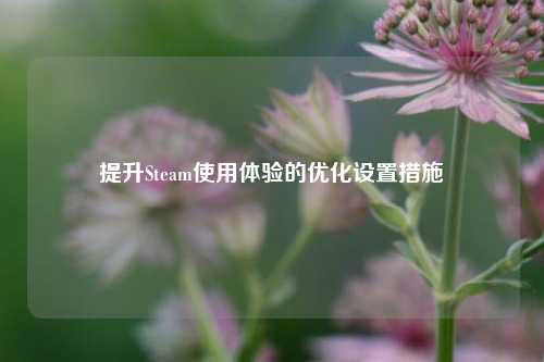 提升Steam使用体验的优化设置措施