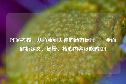 PUBG考核,从萌新到大神的能力标尺——全面解析定义、场景、核心内容及吃鸡KPI