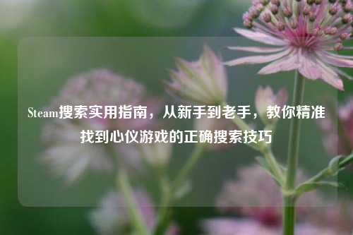 Steam搜索实用指南,从新手到老手,教你精准找到心仪游戏的正确搜索技巧