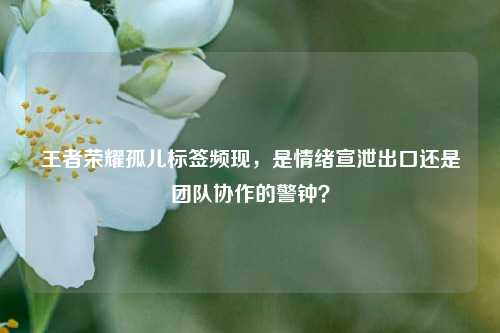 王者荣耀孤儿标签频现，是情绪宣泄出口还是团队协作的警钟？